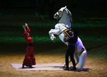 Tour Jerez y Cadiz. Doma de caballos andaluces bailando