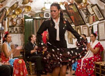 Tour Personalizado. Visita al Sacromonte de Granada con espectaculos de flamenco